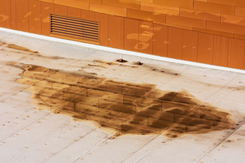 Roof Leak Detection Service